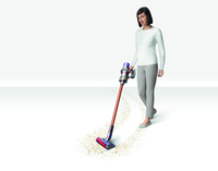 Dyson 2