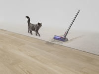 Dyson 12