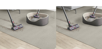 Dyson 13