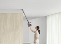 Dyson 12