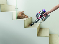 Dyson 13