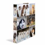 &nbsp;"Herma-Ringbuch A4 Hunde 4D-Herma-Hardware/Electronic"