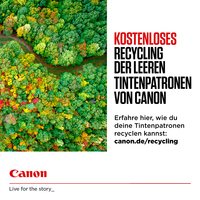 Canon 10