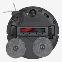 Roborock 10