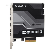 Gigabyte - GC-MAPLE RIDGE Schnittstellenkarte/Adapter Eingebaut DisplayPort - Mini DisplayPort - Thunderbolt 4 - USB 3.2 Gen 2 (3.1 Gen 2) 
